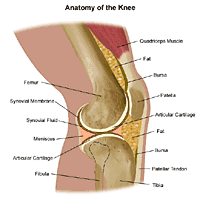 knee ligaments injury