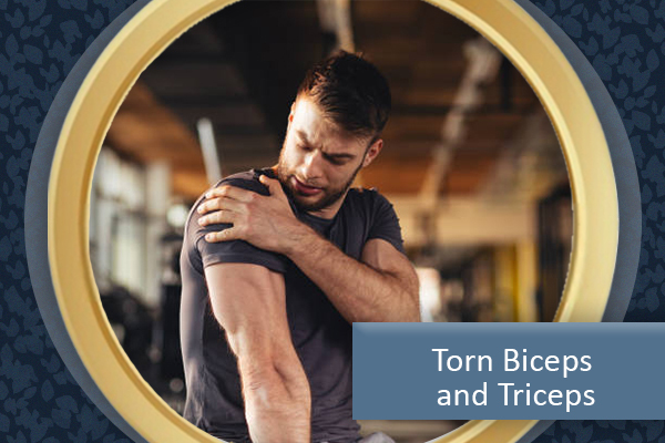 Orthopedic Treatments for Torn Tendons of the Biceps and Triceps
